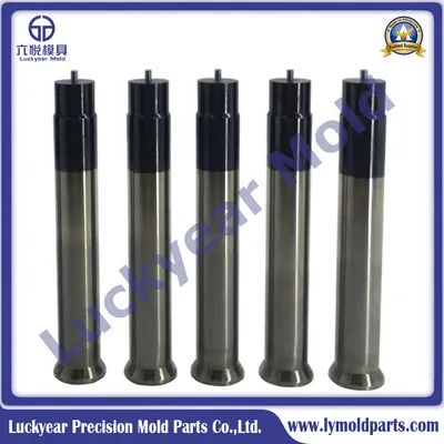 Custom Injection Mold Components EDM Machine Punch Die