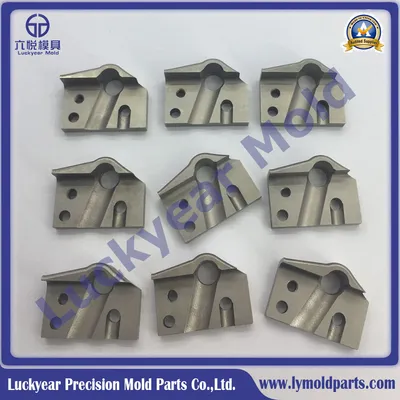 Custom Irregular Forming Die with Punch Sets Mold Parts