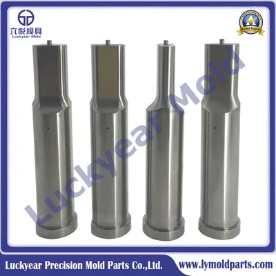 Customer Made Special Shape Pressing Punch