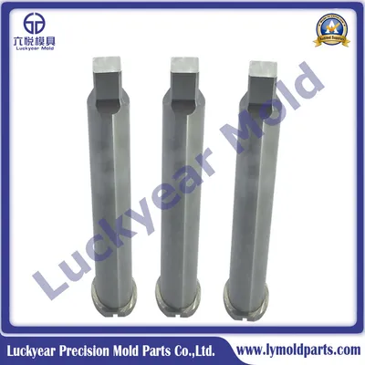 Customized Punch Head Custompunch Components Die