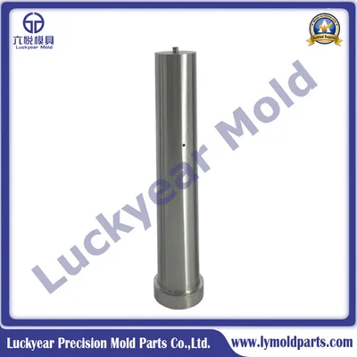 High Precision Punches DIN9861d Punch Customize Punch Dies