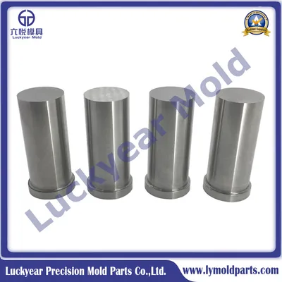 Made in China Punch Blanks