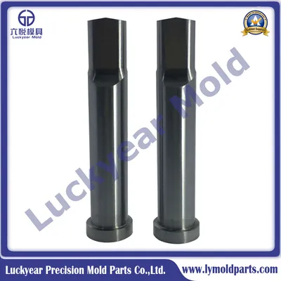Precision Punch and Die for Mould Components /Punches